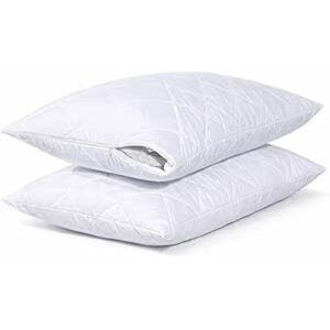 Pillow Protector
